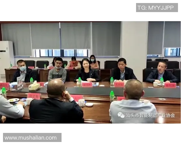 上海排球队转型之路探秘：从传统强队到现代化竞技新标杆