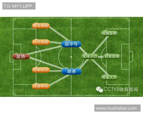 北京足球队的崛起与挑战全面分析及未来发展展望